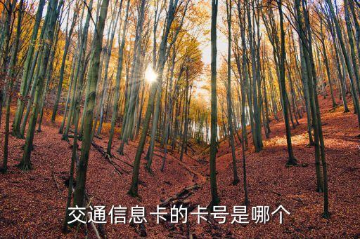 交通信息卡的卡號(hào)是哪個(gè)