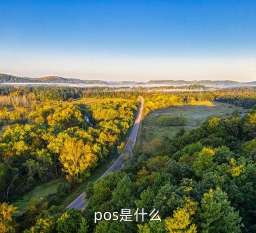 pos是什么