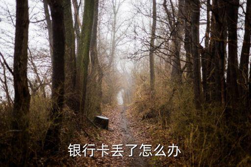 銀行卡丟了補(bǔ)辦拿什么，補(bǔ)辦銀行卡需要什么