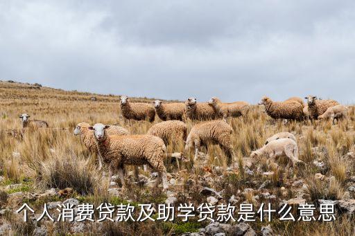 高校貸款是什么意思，生源地助學(xué)貸款是什么含義啊