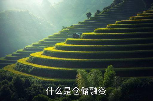 什么是倉儲融資