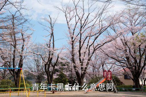 青年卡黑卡什么意思阿