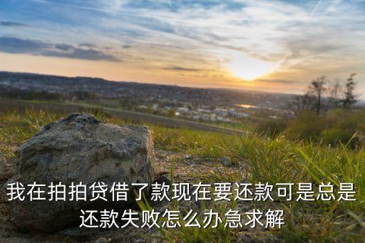 我在拍拍貸借了款現(xiàn)在要還款可是總是還款失敗怎么辦急求解