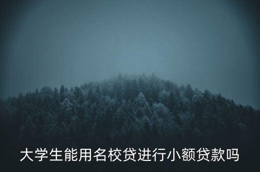 大學生能用名校貸進行小額貸款嗎