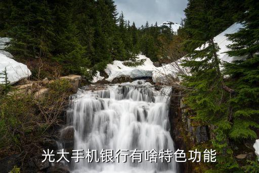 光大銀行網(wǎng)銀app是什么意思，光大手機(jī)銀行有啥特色功能