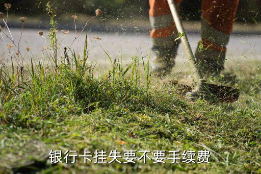 銀行卡掛失要不要手續(xù)費