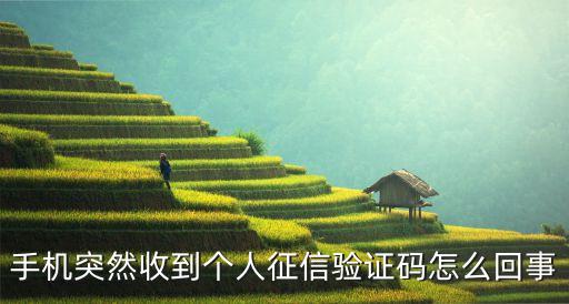 手機突然收到個人征信驗證碼怎么回事