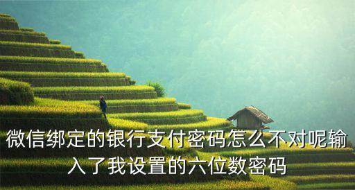 微信綁定的銀行支付密碼怎么不對呢輸入了我設(shè)置的六位數(shù)密碼