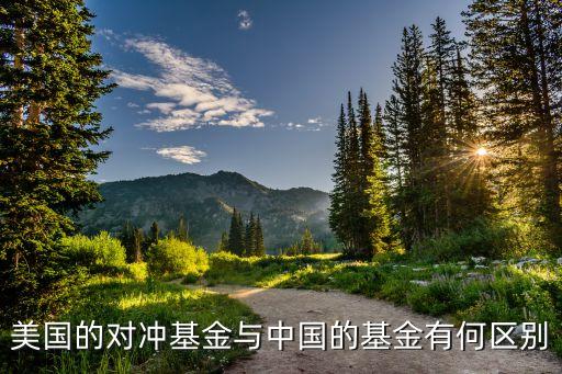 美國的對沖基金與中國的基金有何區(qū)別