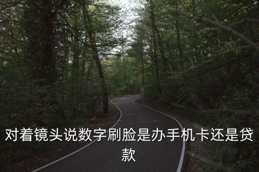 網貸刷臉有什么用，對著鏡頭說數(shù)字刷臉是辦手機卡還是貸款