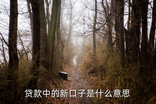 貸款口子屬于什么地方，借款的口子是什么意思