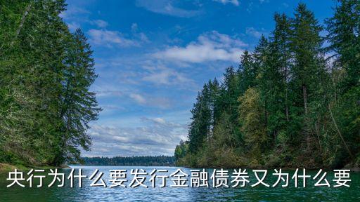央行為什么要發(fā)行金融債券又為什么要