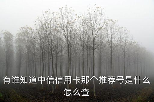 有誰知道中信信用卡那個推薦號是什么怎么查