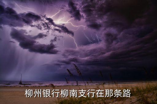 柳州銀行柳南支行在那條路