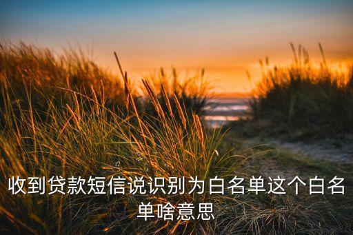工行現(xiàn)金分期白名單是什么意思，收到貸款短信說識別為白名單這個白名單啥意思
