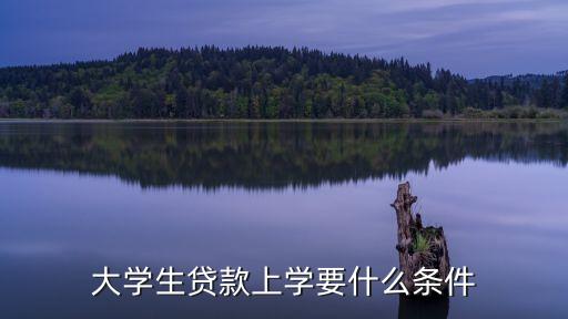 大學(xué)生貸款上學(xué)要什么條件