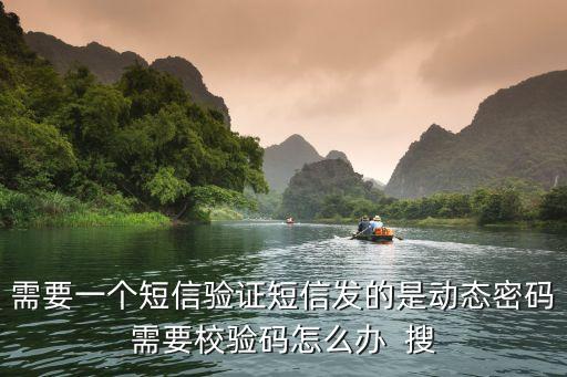 需要一個(gè)短信驗(yàn)證短信發(fā)的是動(dòng)態(tài)密碼需要校驗(yàn)碼怎么辦  搜