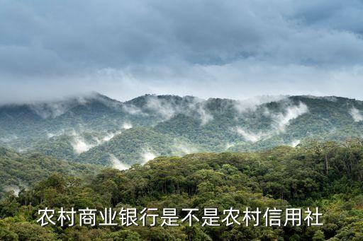農(nóng)村商業(yè)銀行以前叫什么名字，沈陽農(nóng)商銀行前身是什么