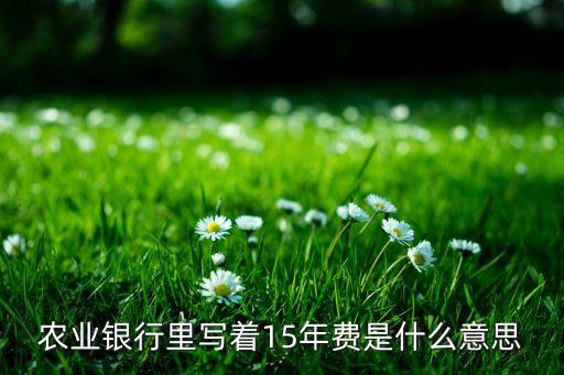 農(nóng)業(yè)銀行里寫著15年費是什么意思