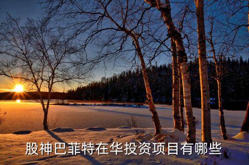 巴菲特都有什么企業(yè)，股神巴菲特的公司叫什么