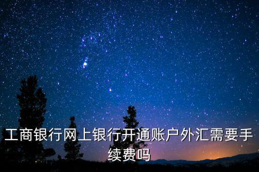 工商銀行網(wǎng)上銀行開通賬戶外匯需要手續(xù)費嗎