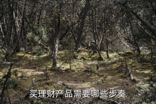 買理財(cái)產(chǎn)品需要哪些步奏