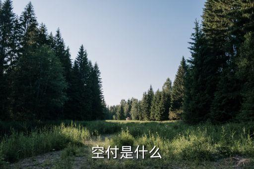 空付是什么