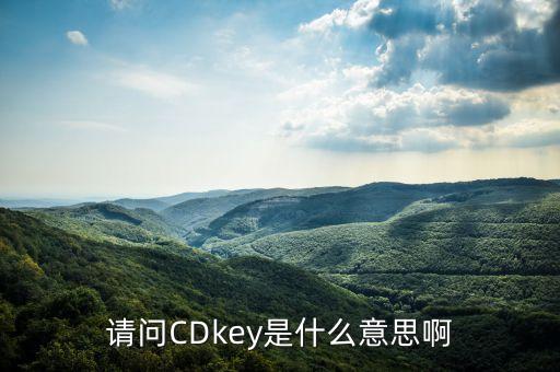 手機(jī)銀行音頻key是什么意思，銀行KEY是什么