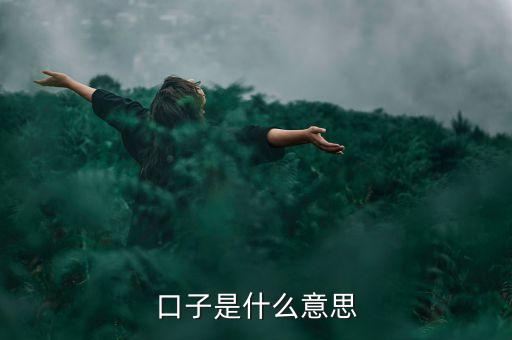 口子是什么意思