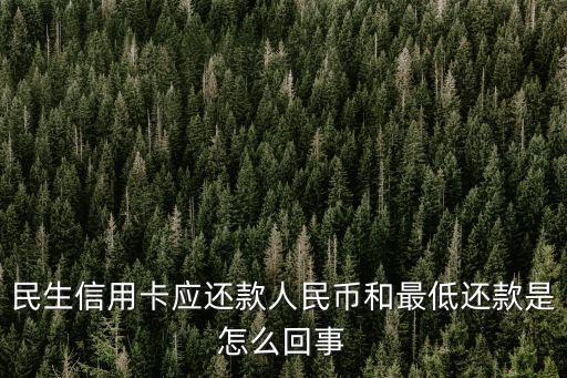 民生信用卡應(yīng)還款人民幣和最低還款是怎么回事