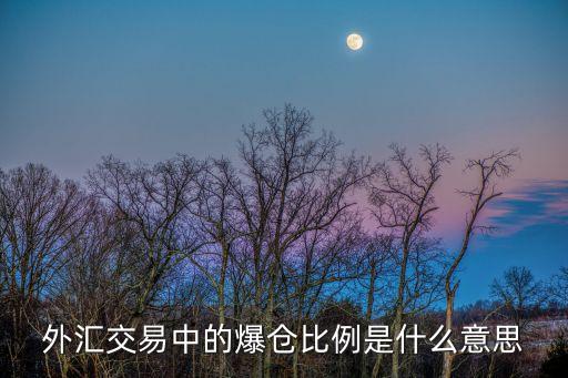 外匯交易中的爆倉比例是什么意思
