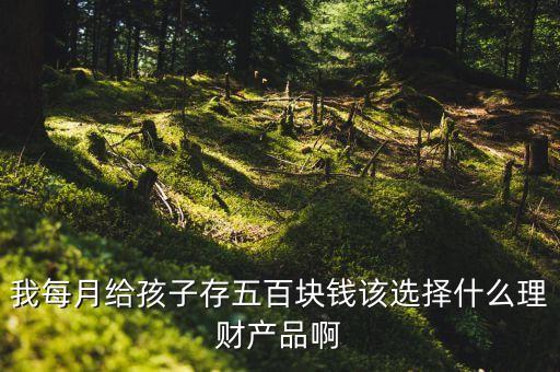 我每月給孩子存五百塊錢該選擇什么理財(cái)產(chǎn)品啊