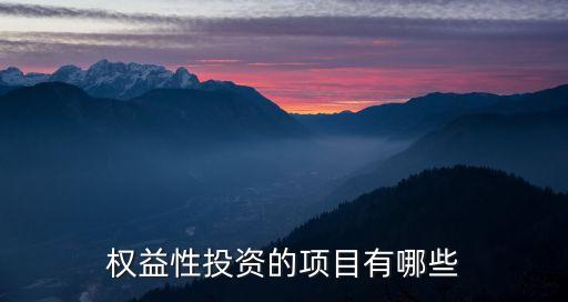 權(quán)益投資包括什么，權(quán)益性投資的項目有哪些