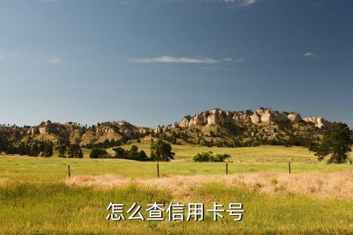 怎樣知道信用卡卡號(hào)和密碼是什么卡，怎么查信用卡號(hào)