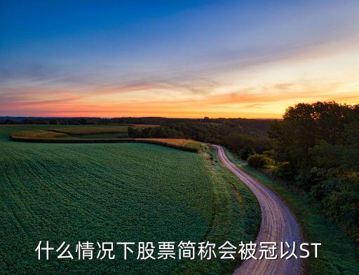 什么情況下股票簡(jiǎn)稱會(huì)被冠以ST
