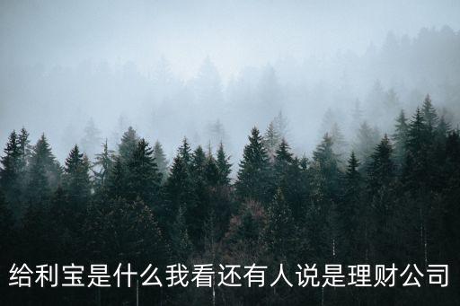 給利寶是什么我看還有人說(shuō)是理財(cái)公司