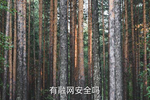 有融網(wǎng)安全嗎