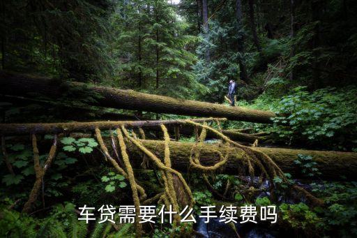 南京車貸需要什么手續(xù)費多少，車貸需要什么手續(xù)費嗎