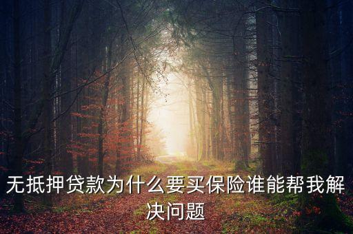無抵押貸款為什么要買保險誰能幫我解決問題