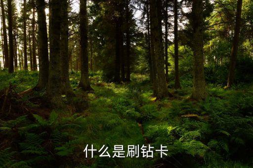 銀行卡鉆卡是什么，鉆卡是什么