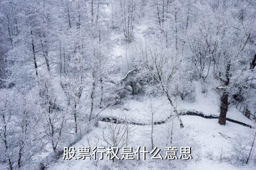 股票行權(quán)是什么意思