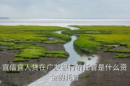 宜信宜人貸在廣發(fā)銀行的托管是什么資金的托管