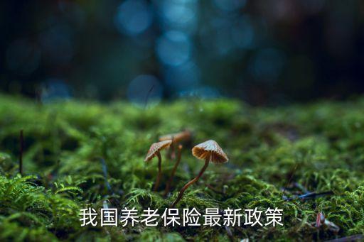 我國養(yǎng)老保險最新政策