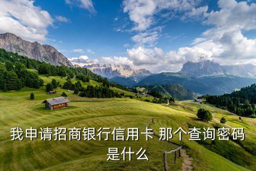 我申請招商銀行信用卡 那個查詢密碼是什么