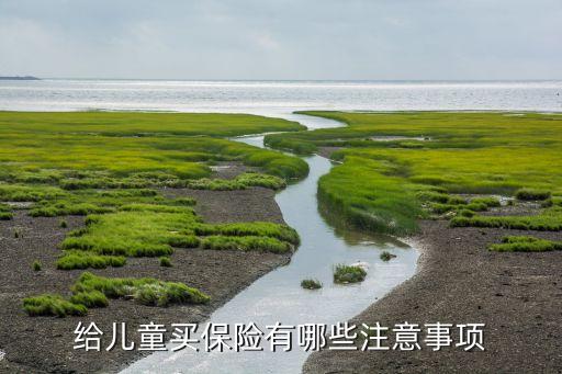 給兒童買(mǎi)保險(xiǎn)有哪些注意事項(xiàng)