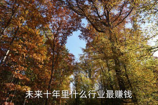 為來什么行業(yè)最賺錢嗎，未來十年里什么行業(yè)最賺錢