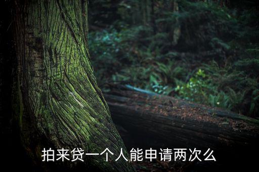 拍來貸為什么沒有額度，拍來貸發(fā)布信用貸老是不成功怎么回事
