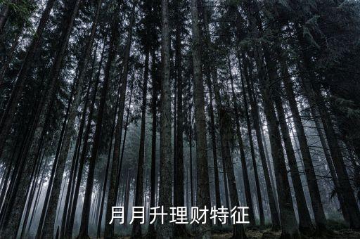 月月升理財(cái)特征