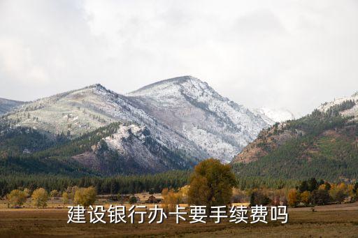 異地辦理建設(shè)銀行卡需要什么手續(xù)費(fèi)嗎，辦理建設(shè)銀行要手續(xù)費(fèi)嗎