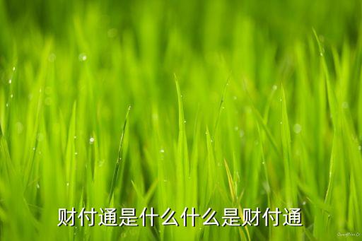財(cái)付通是什么，財(cái)付通是什么什么是財(cái)付通